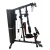 Atlas Treningowy Jednostanowiskowy DS600S DS Fitness